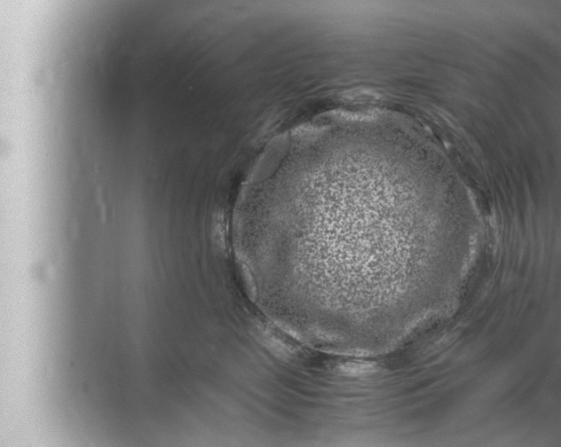 X0000072500669200607290107