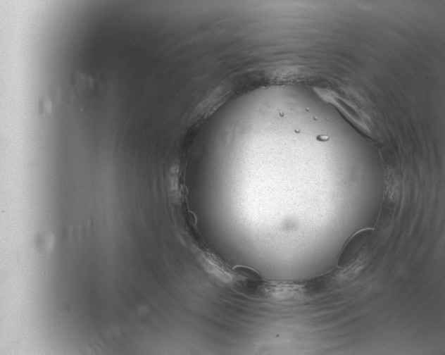 X0000072500670200607290107