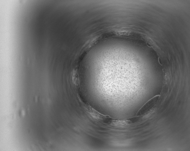 X0000072500671200607290107