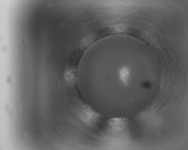 X0000072500672200607290107