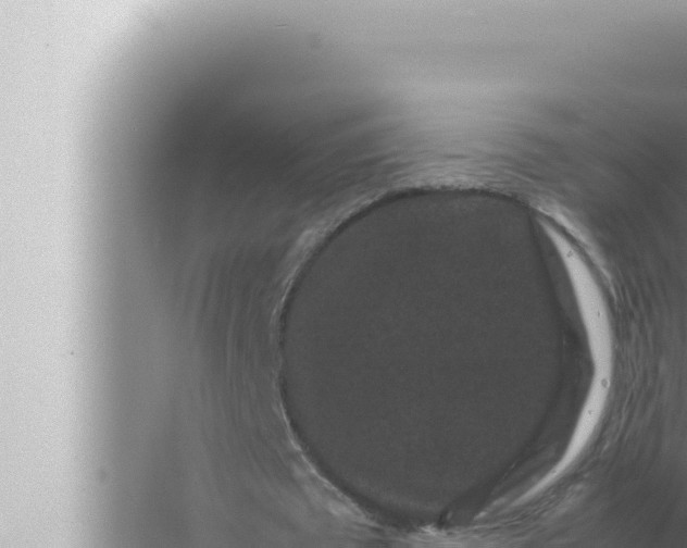 X0000072500673200607290106