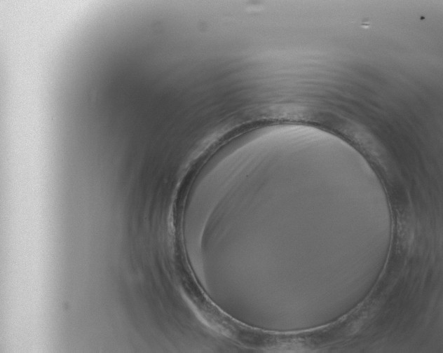 X0000072500674200607290106