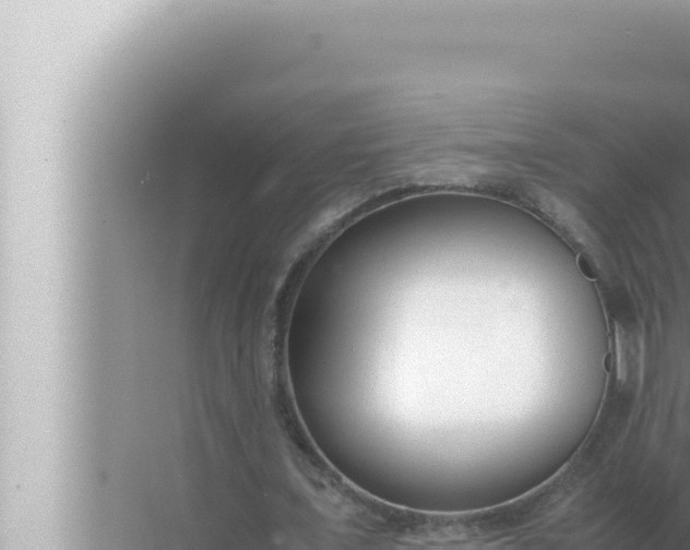 X0000072500675200607290106