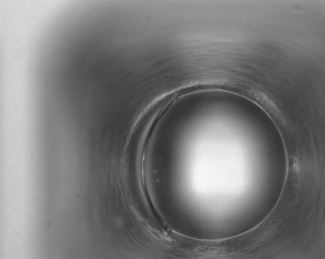 X0000072500676200607290106