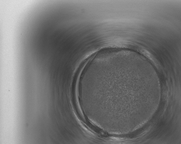 X0000072500677200607290106