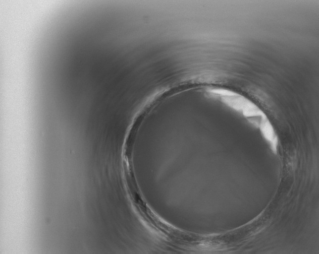 X0000072500678200607290106