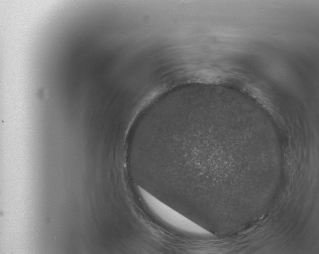 X0000072500679200607290106