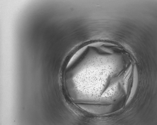 X0000072500680200607290106