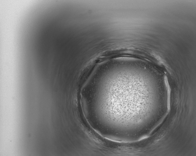 X0000072500681200607290106