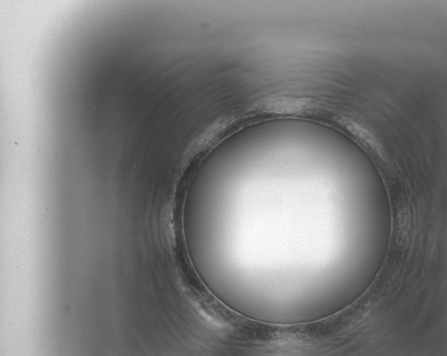 X0000072500682200607290106