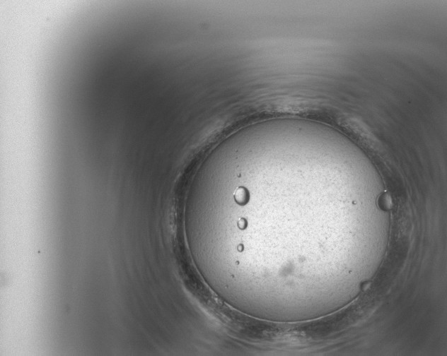 X0000072500683200607290106