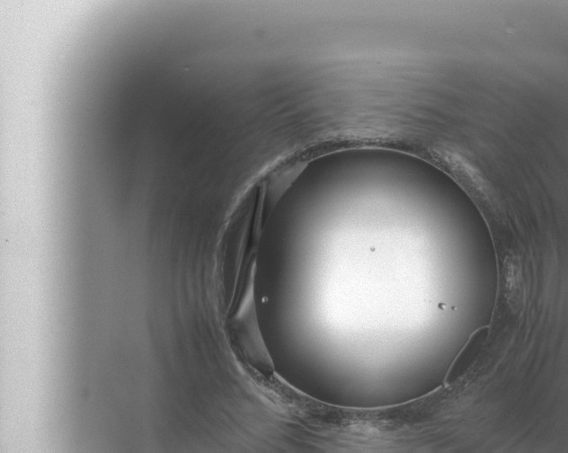 X0000072500684200607290106