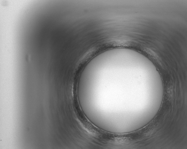 X0000072500686200607290106