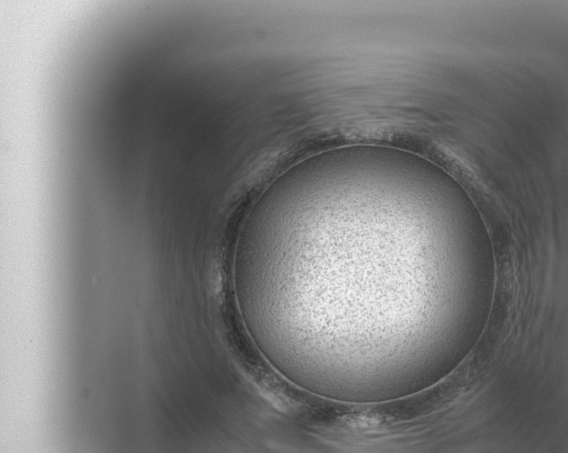 X0000072500687200607290106