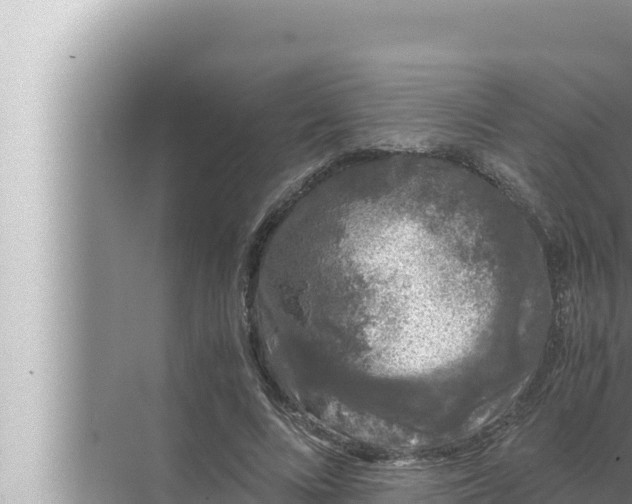 X0000072500688200607290106