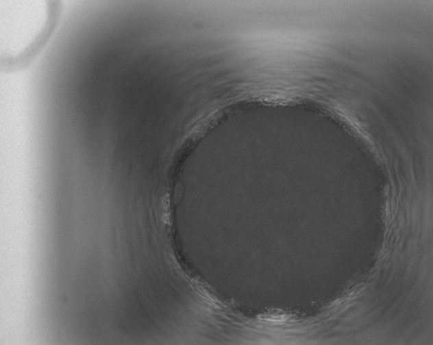 X0000072500689200607290106