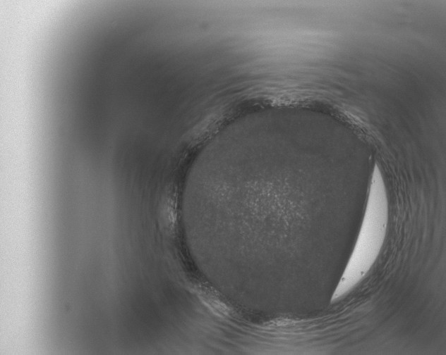 X0000072500691200607290106