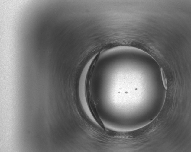 X0000072500693200607290106