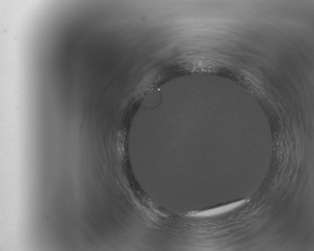 X0000072500695200607290106