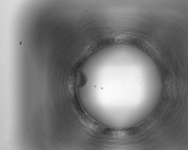 X0000072500698200607290106