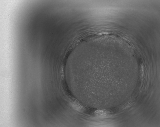 X0000072500699200607290106