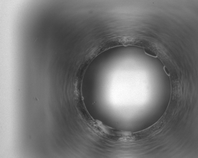 X0000072500700200607290106