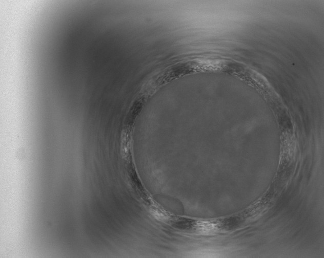 X0000072500701200607290106