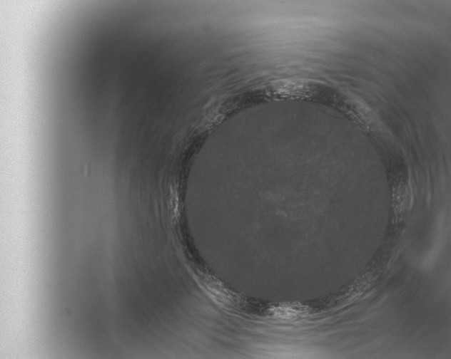 X0000072500703200607290106