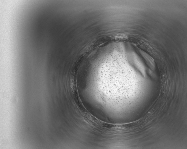 X0000072500704200607290106