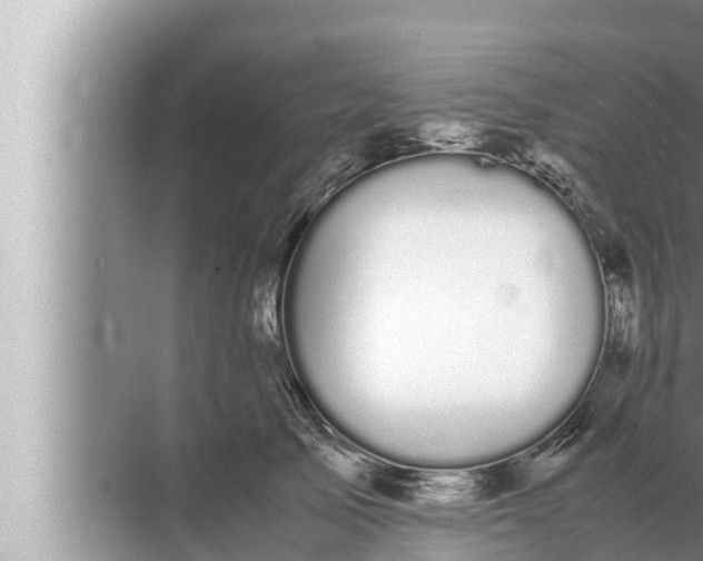 X0000072500705200607290106