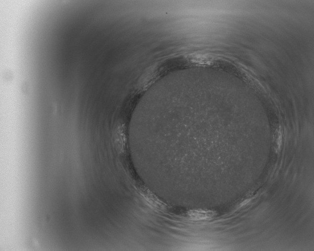 X0000072500707200607290106