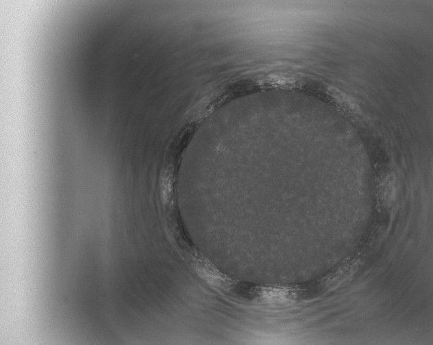 X0000072500709200607290106