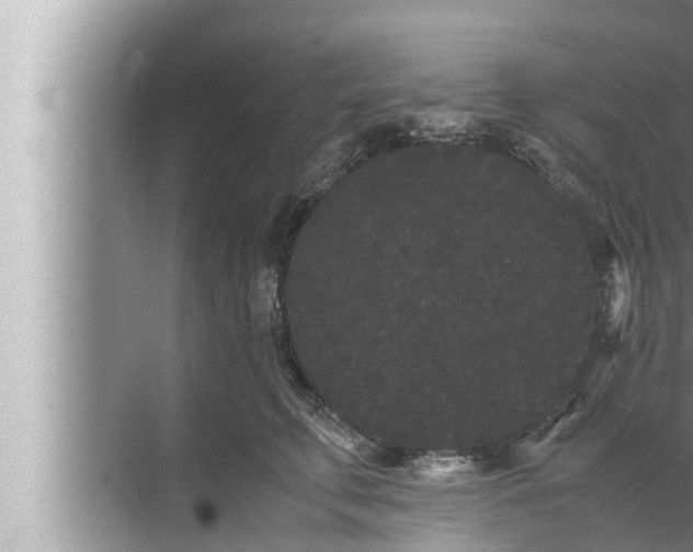 X0000072500711200607290106