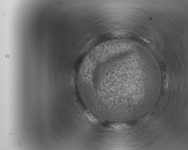 X0000072500712200607290106