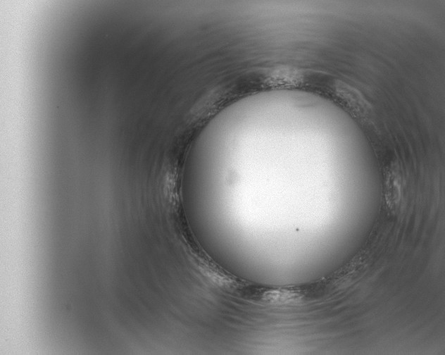 X0000072500714200607290106