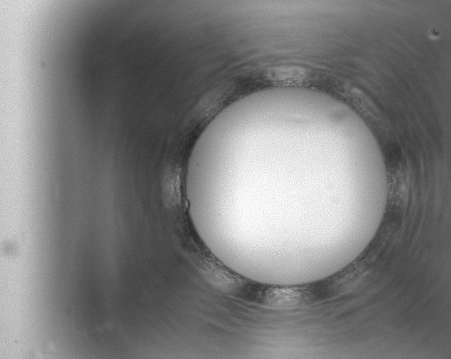 X0000072500717200607290105