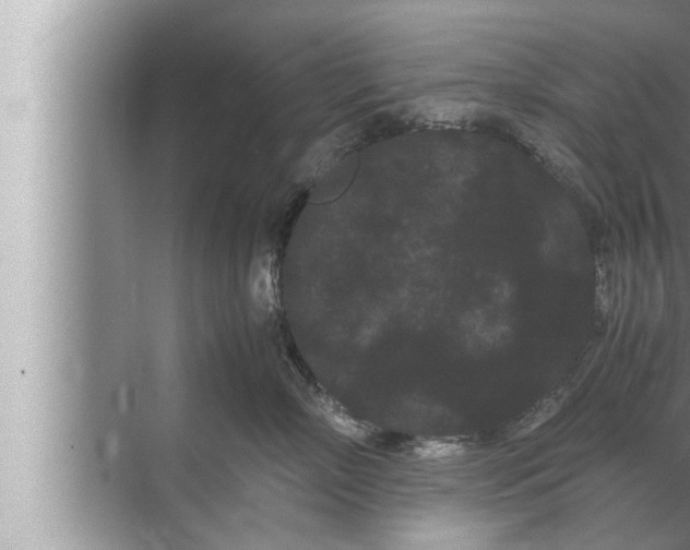 X0000072500718200607290105