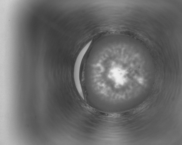 X0000072500720200607290105