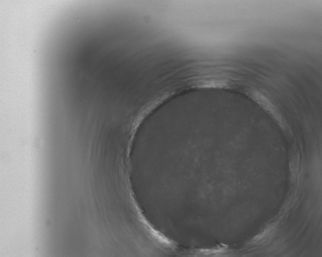 X0000072500721200607290105