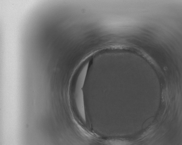 X0000072500722200607290105