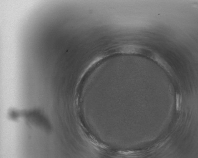 X0000072500723200607290105