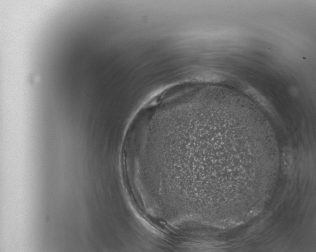 X0000072500726200607290105