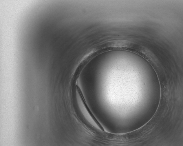 X0000072500727200607290105