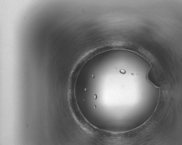 X0000072500728200607290105