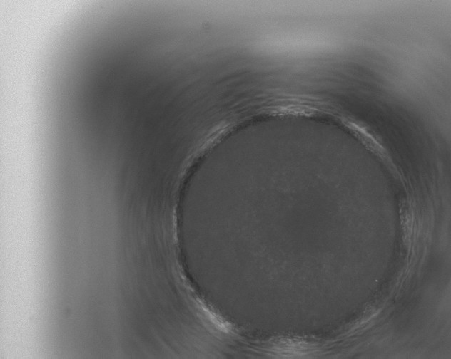 X0000072500729200607290105