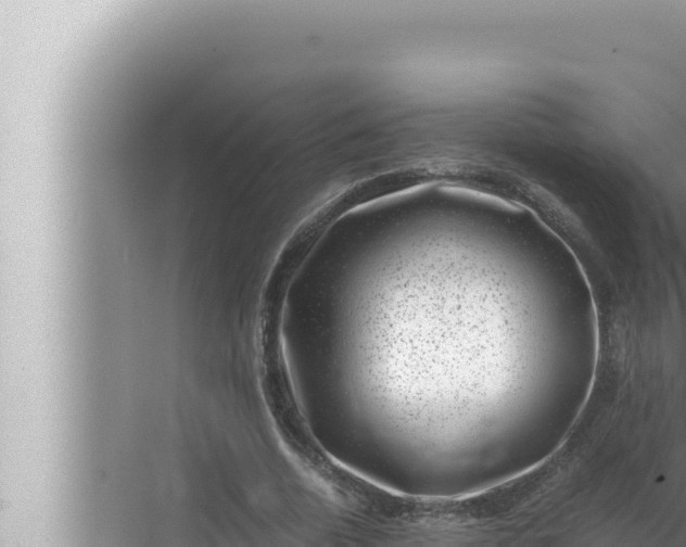 X0000072500730200607290105