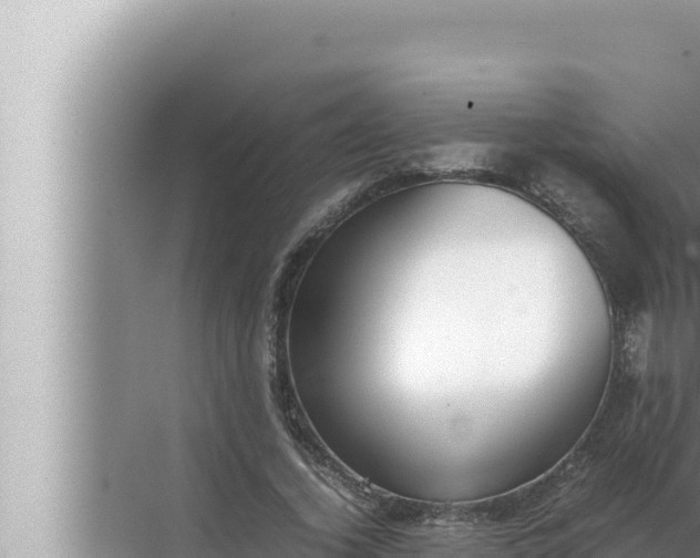 X0000072500732200607290105