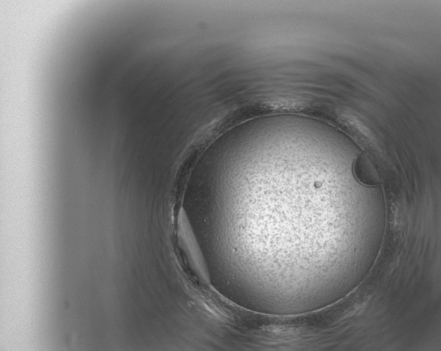 X0000072500733200607290105