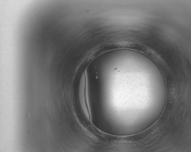 X0000072500734200607290105