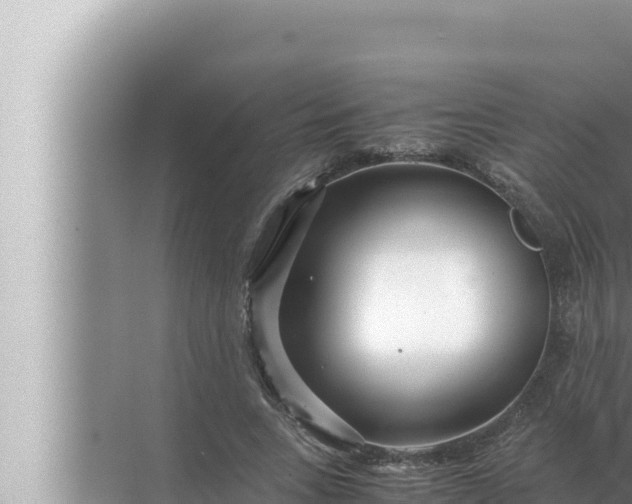 X0000072500735200607290105